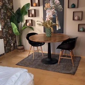 Studioroom Altstadt Apartment
